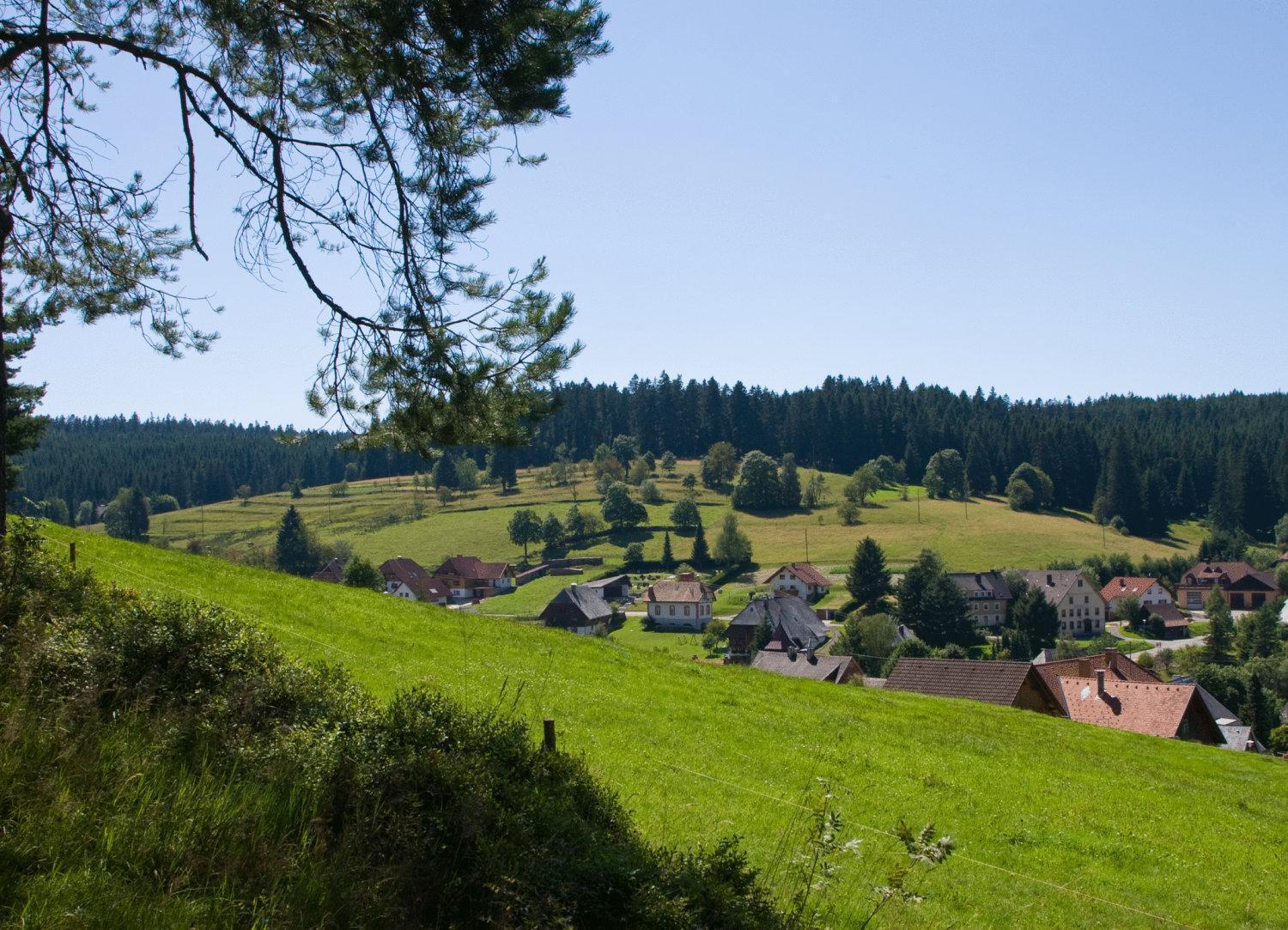 Waldhotel Auerhahn B&B Bed & Breakfast Eisenbach  Exterior foto