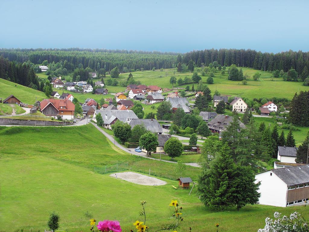 Waldhotel Auerhahn B&B Bed & Breakfast Eisenbach  Exterior foto